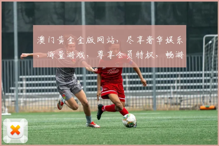 澳门黄金金版网站，尽享奢华娱乐，海量游戏，尊享会员特权，畅游黄金世界，赢取丰厚大奖